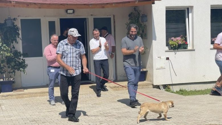 ​Nisin adoptimet e para të qenëve endacak në Prishtinë, Rama: Investuam më shumë se Qeveria