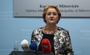 Kadriu: I kemi përfunduar përgatitjet teknike dhe akademike për fillimin e vitit shkollor në Mitrovicë