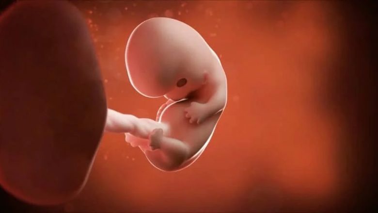 Java e tetë e shtatzënisë: Fetusi më në fund humbet bishtin, bëhet një foshnjë e vërtetë dhe nëna ka nevojë për më shumë gjumë