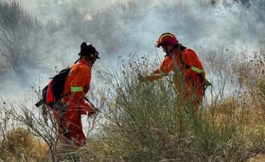 Shuhen 10 vatra zjarri në 24 orët e fundit në Shqipëri