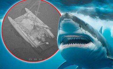 Po udhëtonin me anije të vogël, peshkaqenët ua shkatërrojnë – autoritet australiane shpëtojnë tre burra