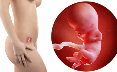 Java e 11-të e shtatzënisë: Bebja juaj mund të gogësijë, të thithë dhe të gëlltisë në mitër, kurse ju përgatiteni për urth