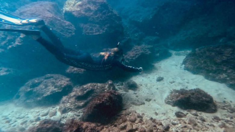 Pamje të veçanta nga bota nënujore e Karaburun-Sazan