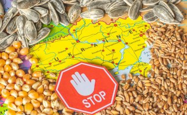 Polakët dhe ukrainasit mund të përkeqësojnë edhe më tej raportet - Polonia pritet të ndalojë importin e më shumë produkteve ushqimore të Ukrainës
