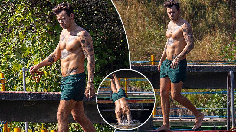 Harry Styles tregon trupin e tij muskuloz dhe të mbushur me tatuazhe gjatë një zhytje në pellg