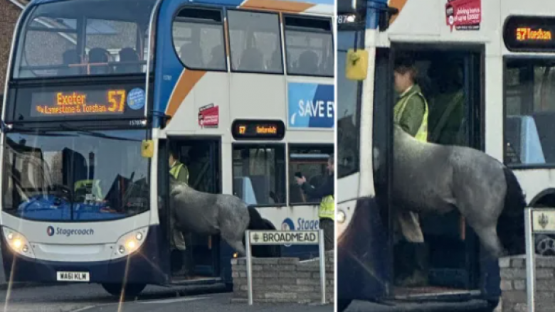 Kali përpiqet të hipë në autobus në Britani