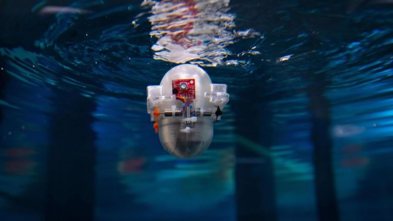 Të thellë dhe të rrezikshëm – a është Inteligjenca Artificiale e ardhmja e eksplorimit të oqeaneve?