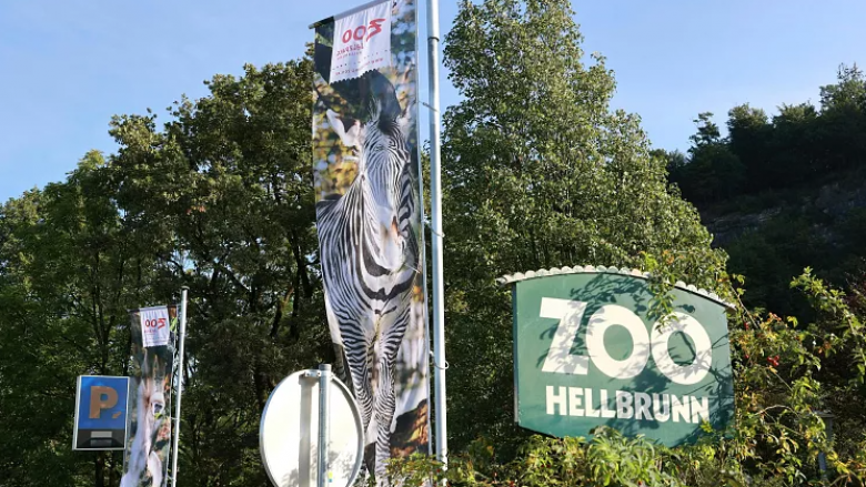 Rinoceronti vret një kujdestare të një kopshti zoologjik në Austri, lëndon rëndë një tjetër