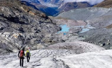 Akullnajat zvicerane shënojnë humbje ‘katastrofike’ të vëllimit të tyre këtë vit