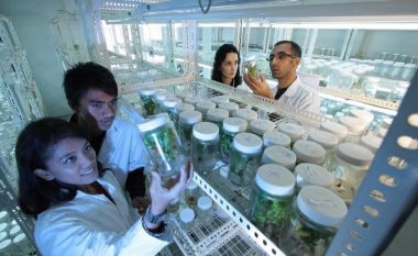 Për shkak të ndryshimeve klimatike, Zelanda e Re po shqyrton kultivimin laboratorik të frutave