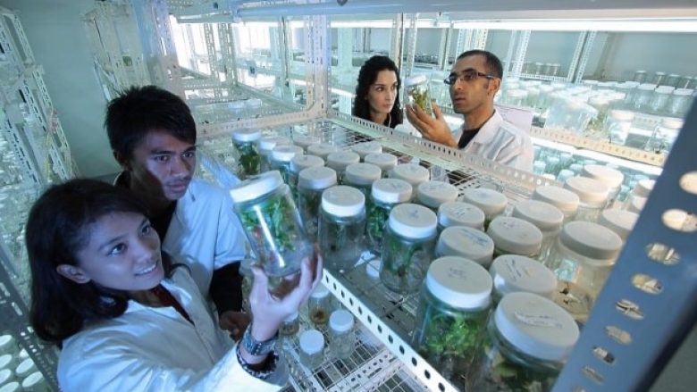 Për shkak të ndryshimeve klimatike, Zelanda e Re po shqyrton kultivimin laboratorik të frutave