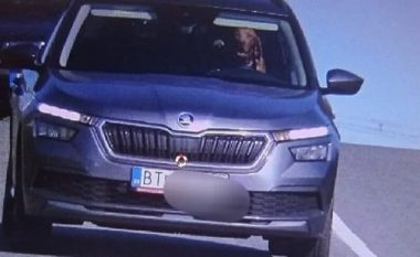 Radari i policisë në Sllovaki kapi një pamje të pazakontë: Një qen pas timonit të një veture