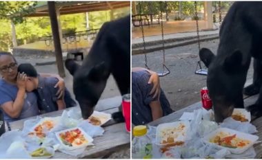 Vizitorët e parkut në Meksikë “ngrinë në vend” kur ariu i ndërpreu piknikun – pamjet u bënë virale në internet
