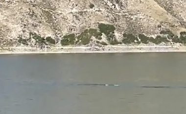 Një krijesë misterioze u filmua duke notuar në një liqen të vogël në Kinë