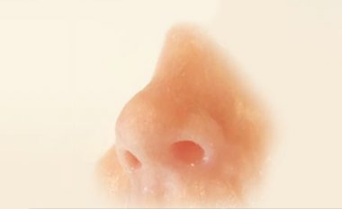 A mundet hunda artificiale të “nuhasë” sëmundjet, si dhe ushqimin e prishur?