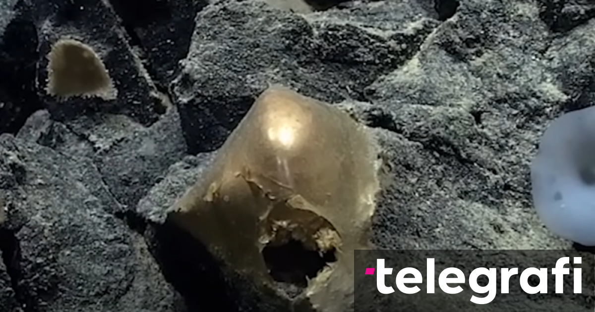 Researchers find a mysterious golden sphere on the Pacific coast of ...