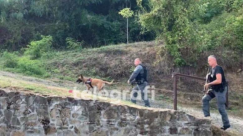 Në kërkim të trupave dhe armatimeve, policia patrullon me njësitin e qenve në zonat malore të Banjskës