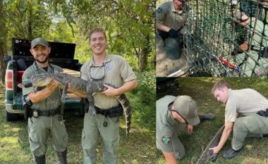 Oficerët kapën një aligator 1.2 metra në Tenesi