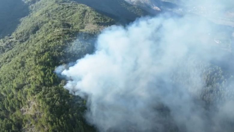 Zjarr i përmasave të mëdha në zonën pyjore të Mirditës, flakët ende aktive