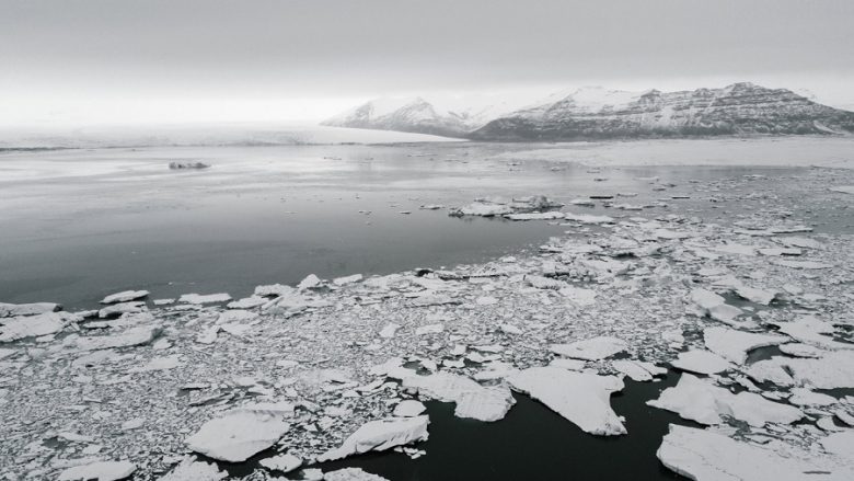 Sëmundja e tmerrshme zbulohet në Antarktik: Një popullatë e tërë kërcënohet me zhdukje