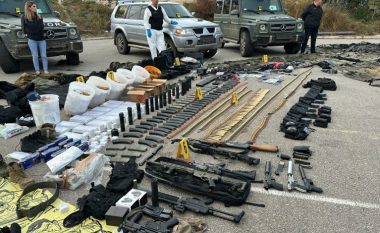 Bosnja demanton Prokurorinë e Serbisë, thotë se s’është në dijeni që Radojiçiq ka blerë armë atje