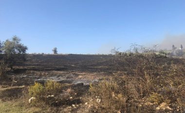 Ndezi zjarr dhe si pasojë e përhapjes së flakëve u dogjën 22 hektarë tokë, arrestohet i dyshuari në Fier