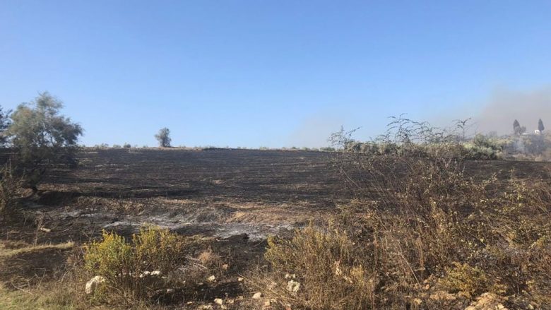 Ndezi zjarr dhe si pasojë e përhapjes së flakëve u dogjën 22 hektarë tokë, arrestohet i dyshuari në Fier