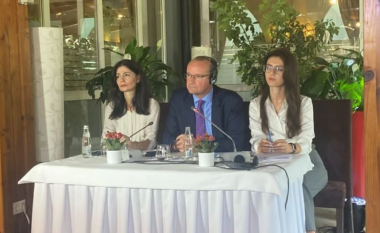 Deputeti gjerman Krichbaum në Tiranë: Rruga e Shqipërisë drejt BE e pakthyeshme