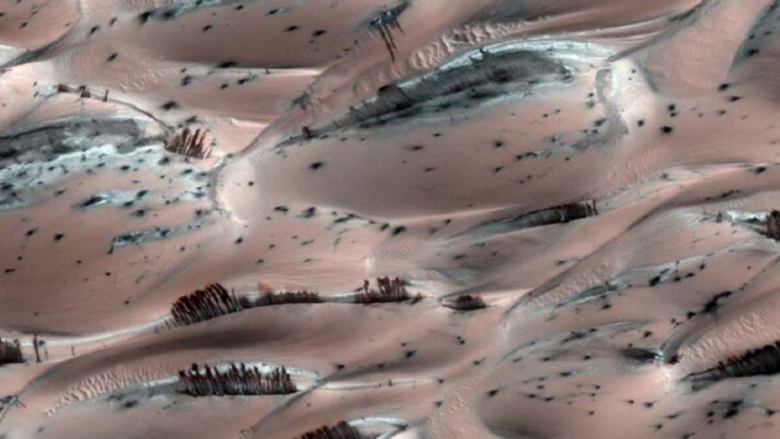 Fenomeni i pazakontë në Mars, forma që ngjajnë shumë me pemët