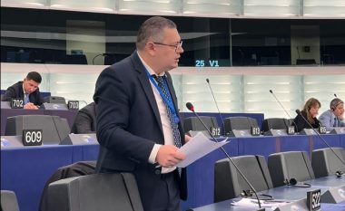 Deputeti ukrainas në Këshillin e Evropës: Sulmi terrorist ndaj Kosovës më kujton fillimin e pushtimit rus në Ukrainë
