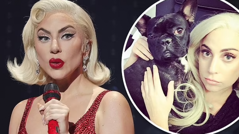 Lady Gaga shënon një tjetër fitore ligjore – nuk do të paguajë dëmshpërblimin prej 500 mijë eurosh për gjetjen e qenve të saj