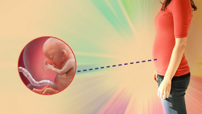 Java e 13-të e shtatzënisë: Bebja juaj mund të thithë gishtin e madh, kurse rreziku i spontanitetit zvogëlohet