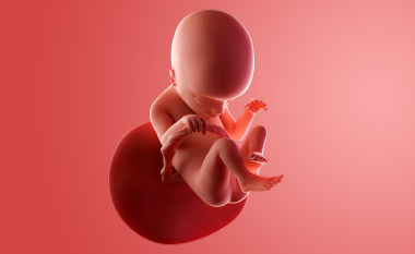 Java e 16-të e shtatzënisë: Bebja është shumë aktive, rrotullohet dhe shkelmon, kurse nëna e ardhshme shijon ditë pa të përziera