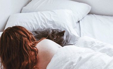 Çfarë duhet të bëni nëse macja vazhdimisht jua prish gjumin natën?