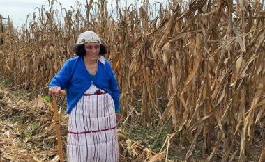 Nënë Roza, 87-vjeçarja më e moshuar e Vaut të Dejës që punon tokën