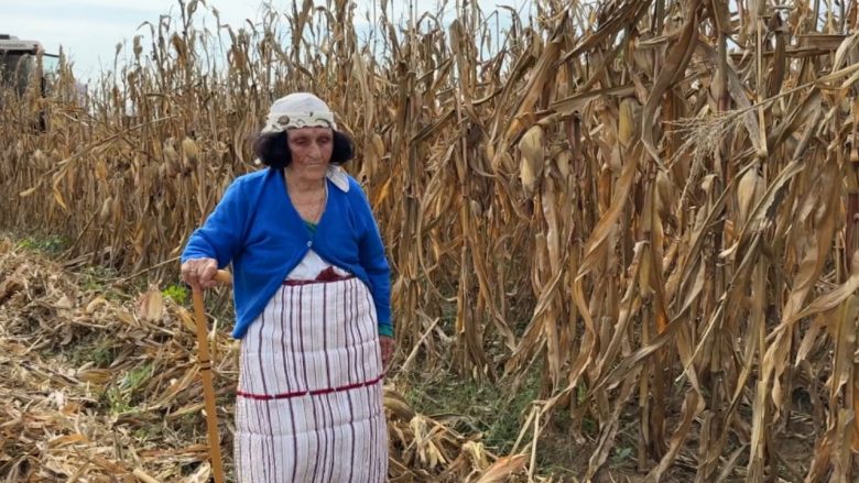 Nënë Roza, 87-vjeçarja më e moshuar e Vaut të Dejës që punon tokën