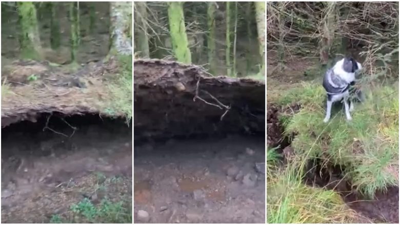 Erërat e forta ngritën ‘dyshemenë’ e një pylli në Skoci