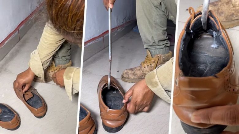 Një burrë gjeti një gjarpër në këpucën e tij