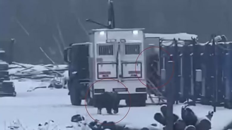 Ariu sulmon dy punonjës të gazsjellësit në Siberi