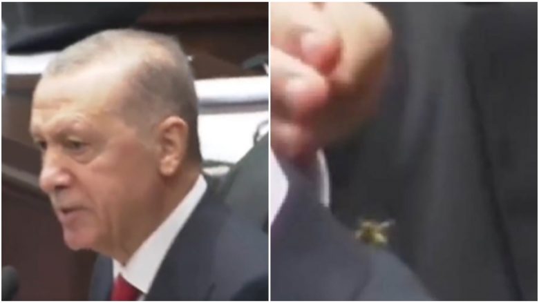 Momenti epik, roja e sigurisë shpëton Erdoganin nga grerëza – hoqi insektin nga shpina dhe e shtypi me këmbë