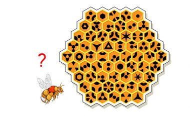 Në saktësisht 10 sekonda ju duhet të gjeni dy gjashtëkëndësha identikë: A do të hutoheni nga hojet e mjaltit?