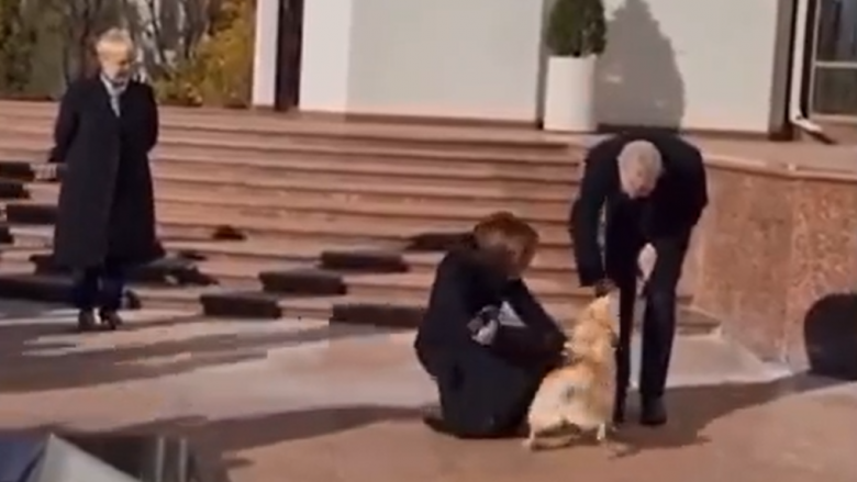 Qeni i presidentes moldave kafshon presidentin austriak – pamjet po bëjnë xhiron në internet