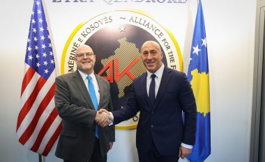 Haradinaj ia konfirmon ambasadorit Hovenier mbështetjen për Planin franko-gjerman