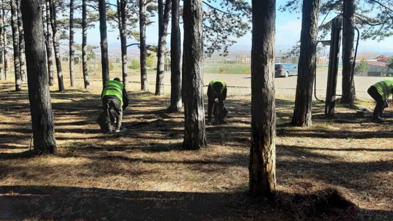 Hedhja e mbeturinave në parkun “Te Pishat” në Sllatinë – paralajmërohen gjoba për qytetarët