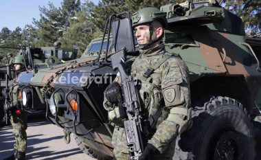 Dita e Forcës, Krasniqi: PDK do të propozojë rritjen e buxhetit për Ushtrinë e Kosovës