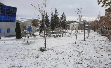Reshje të dendura bore në Kosovë