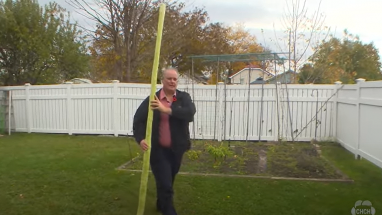 Kanadezi kultivoi një kungulleshk 2.5 metra, synon rekordin Guinness