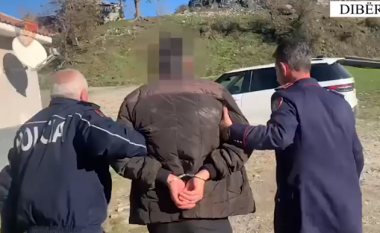 Tentoi të vriste me mjet prerës bashkëfshatarin e tij, arrestohet 55-vjeçari në Dibër