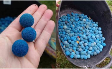 Qindra topa të kaltër përfundojnë në një plazh në Britani të Madhe