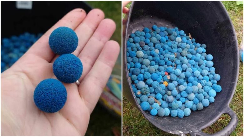 Qindra topa të kaltër përfundojnë në një plazh në Britani të Madhe